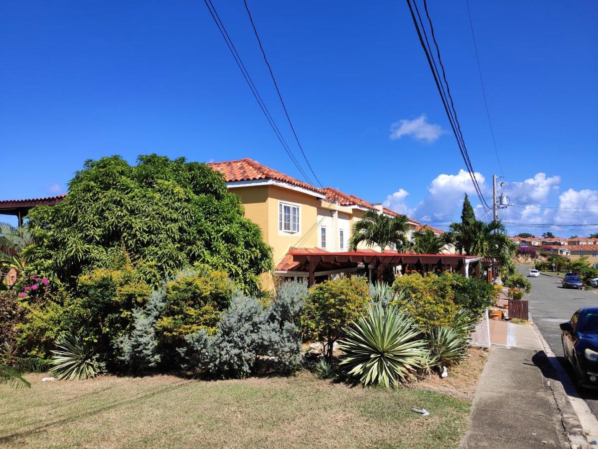 Montego Bay Garden Studio Екстер'єр фото